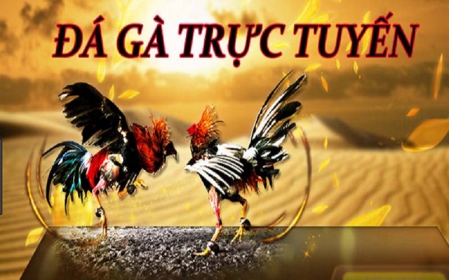 Mot88 đá gà trực tuyến phổ biến nhất hiện nay Mot88 đá gà trực tuyến phổ biến nhất hiện nay